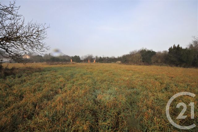 terrain - NOE - 31