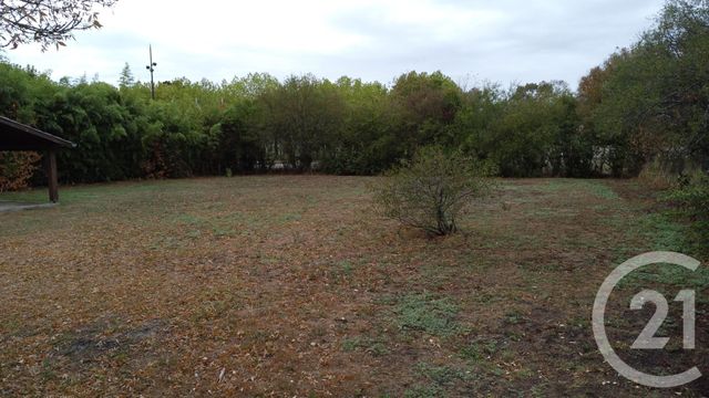 terrain - VILLATE - 31