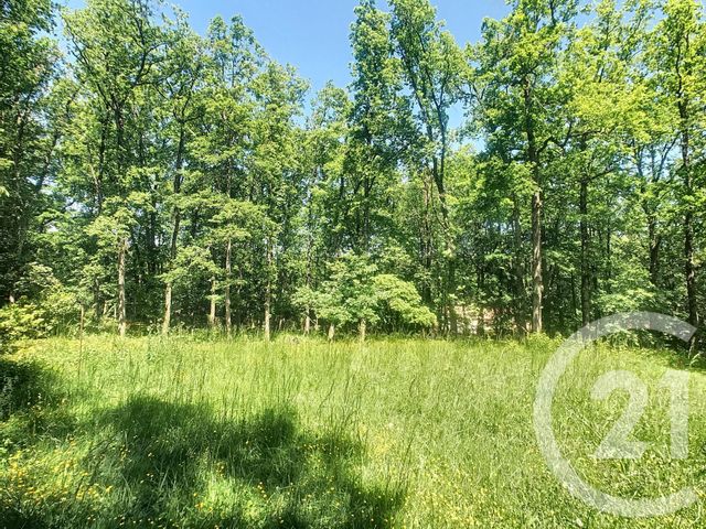 terrain à vendre - 2916.0 m2 - AUREVILLE - 31 - MIDI-PYRENEES - Century 21 Lacroix Immobilier