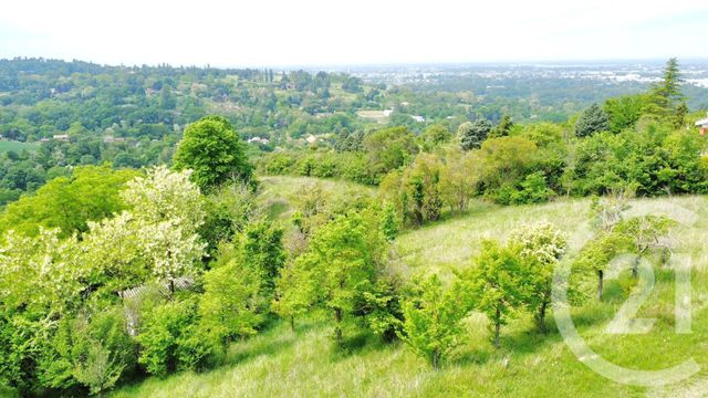 terrain - TOULOUSE - 31