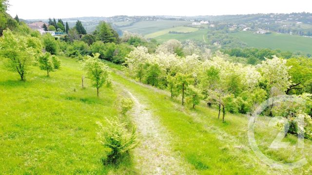 terrain à vendre - 9378.0 m2 - TOULOUSE - 31 - MIDI-PYRENEES - Century 21 Lacroix Immobilier