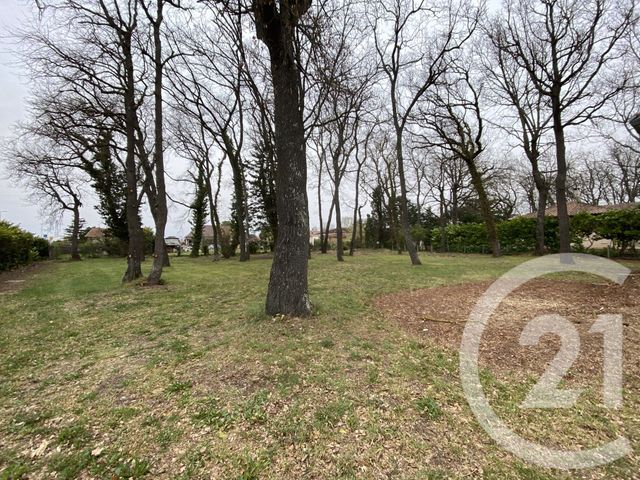 maison à louer - 4 pièces - 112.51 m2 - ROQUETTES - 31 - MIDI-PYRENEES - Century 21 Lacroix Immobilier