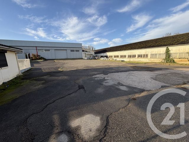 maison à louer - 2 pièces - 250.0 m2 - L ISLE JOURDAIN - 32 - MIDI-PYRENEES - Century 21 Lacroix Immobilier