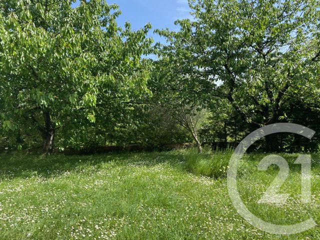 maison à vendre - 7 pièces - 145.0 m2 - DONNEVILLE - 31 - MIDI-PYRENEES - Century 21 Lacroix Immobilier