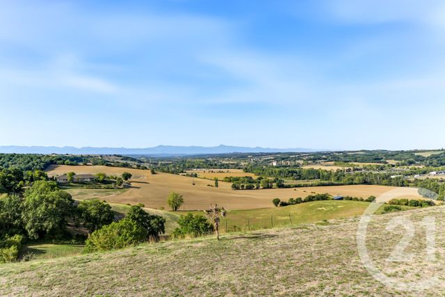 maison à vendre - 8 pièces - 383.0 m2 - L ISLE EN DODON - 31 - MIDI-PYRENEES - Century 21 Lacroix Immobilier