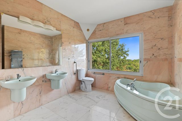 maison à vendre - 8 pièces - 383.0 m2 - L ISLE EN DODON - 31 - MIDI-PYRENEES - Century 21 Lacroix Immobilier